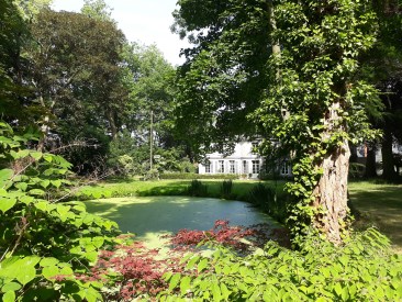 Allart verzicht tuin