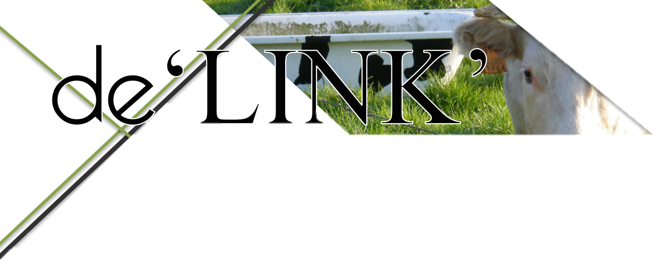 De LINK koe met bad zonder tekst