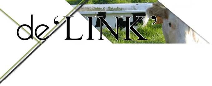 De LINK koe met bad zonder tekst