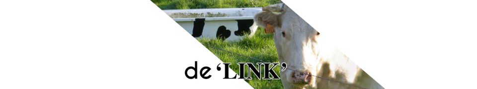 cropped-header_de_link_4.jpg